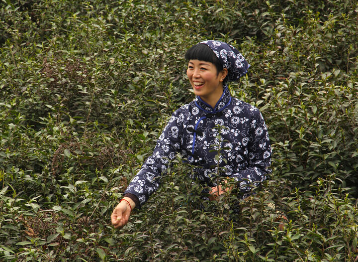 17间房主播跳舞 直播2